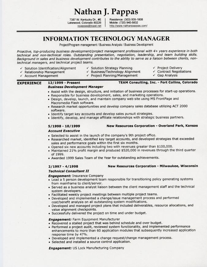 resume format  resume format for second page